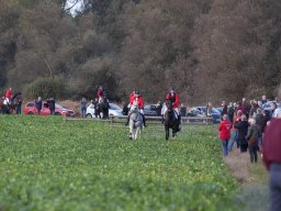 IMG_9669web